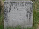 image of grave number 296275